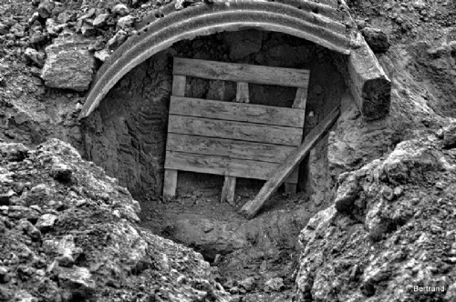A.Passchendaele themaw. (24)